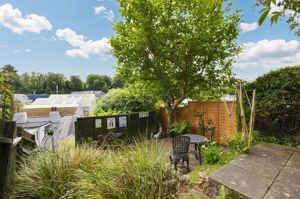 Photo 15- click for photo gallery